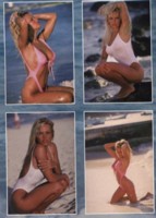 Pamela Anderson t-shirt #1302203