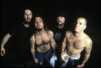 Pantera Longsleeve T-shirt #2542730