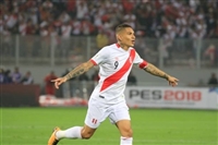 Paolo Guerrero hoodie #3352320