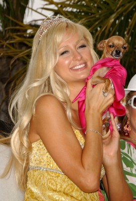 Paris Hilton Poster 1248360