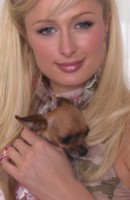 Paris Hilton Longsleeve T-shirt #1251554