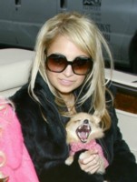 Paris Hilton Longsleeve T-shirt #1329449