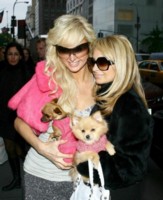 Paris Hilton longsleeve t-shirt #1329633