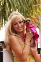 Paris Hilton Sweatshirt #1359840