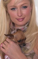 Paris Hilton Longsleeve T-shirt #2096302