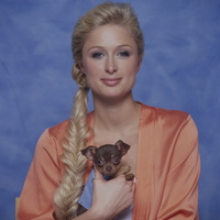 Paris Hilton mug #G585499