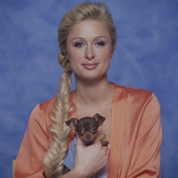 Paris Hilton Longsleeve T-shirt #2249050