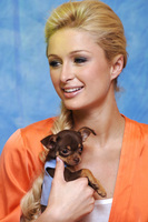 Paris Hilton mug #G711106