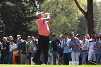 Pat Perez Sweatshirt #3494491