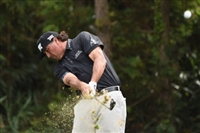 Pat Perez Sweatshirt #3494502