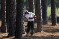 Pat Perez Sweatshirt #3494694