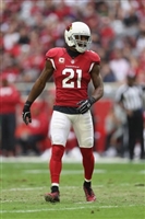 Patrick Peterson mug #G1711388