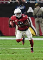 Patrick Peterson mug #G1711397
