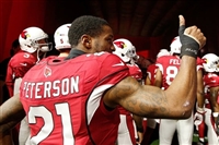 Patrick Peterson mug #G1711408