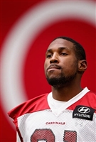 Patrick Peterson mug #G1711411