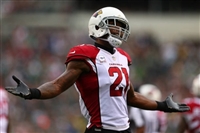 Patrick Peterson mug #G1711413