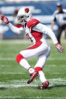 Patrick Peterson Sweatshirt #3469204