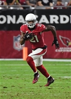 Patrick Peterson Sweatshirt #3469211