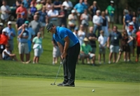Patrick Reed Sweatshirt #3485895