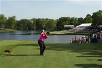 Patrick Reed t-shirt #3486025