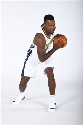 Paul Millsap posters