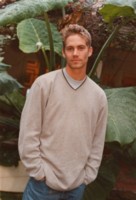 Paul Walker mug #G159244