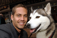 Paul Walker Tank Top #2212422
