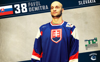 Pavol Demitra t-shirt #1999449