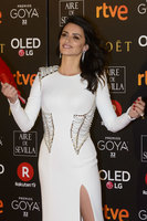 Penelope Cruz Tank Top #3128071
