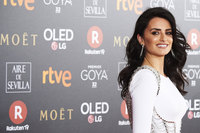 Penelope Cruz Tank Top #3128160