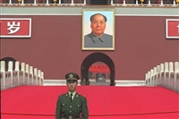 Peng Li t-shirt #3617847