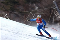 Peter Fill Sweatshirt #3645708