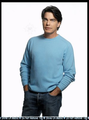 Peter Gallagher Poster 1999425