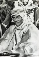 Peter O'toole hoodie #2419435