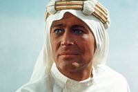 Peter O'toole hoodie #2419438
