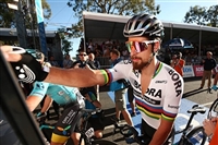 Peter Sagan hoodie #3704852