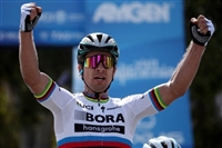 Peter Sagan hoodie #3704854