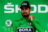 Peter Sagan hoodie #3704856