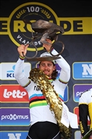 Peter Sagan hoodie #3704919