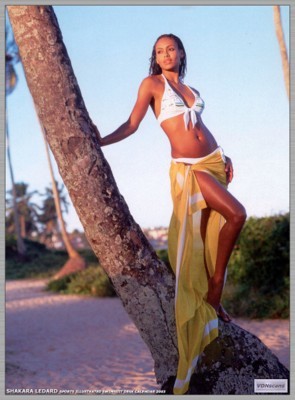 Petra Nemcova posters