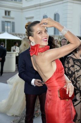 Petra Nemcova posters