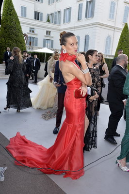 Petra Nemcova posters