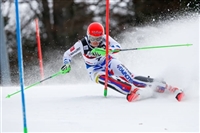 Petra Vlhova hoodie #3641048