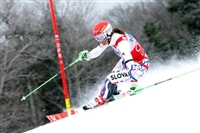 Petra Vlhova hoodie #3641051