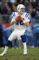 Peyton Manning Longsleeve T-shirt #3960617