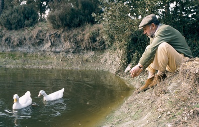 Philippe Noiret posters