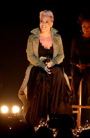 Pink Sweatshirt #3046145