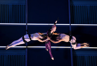 Pink Sweatshirt #3141687