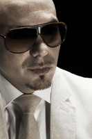 Pitbull t-shirt #2187647
