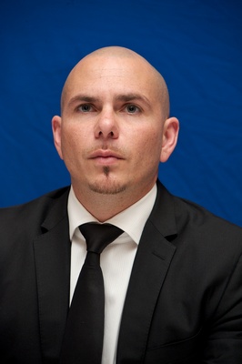 Pitbull puzzle 2240492